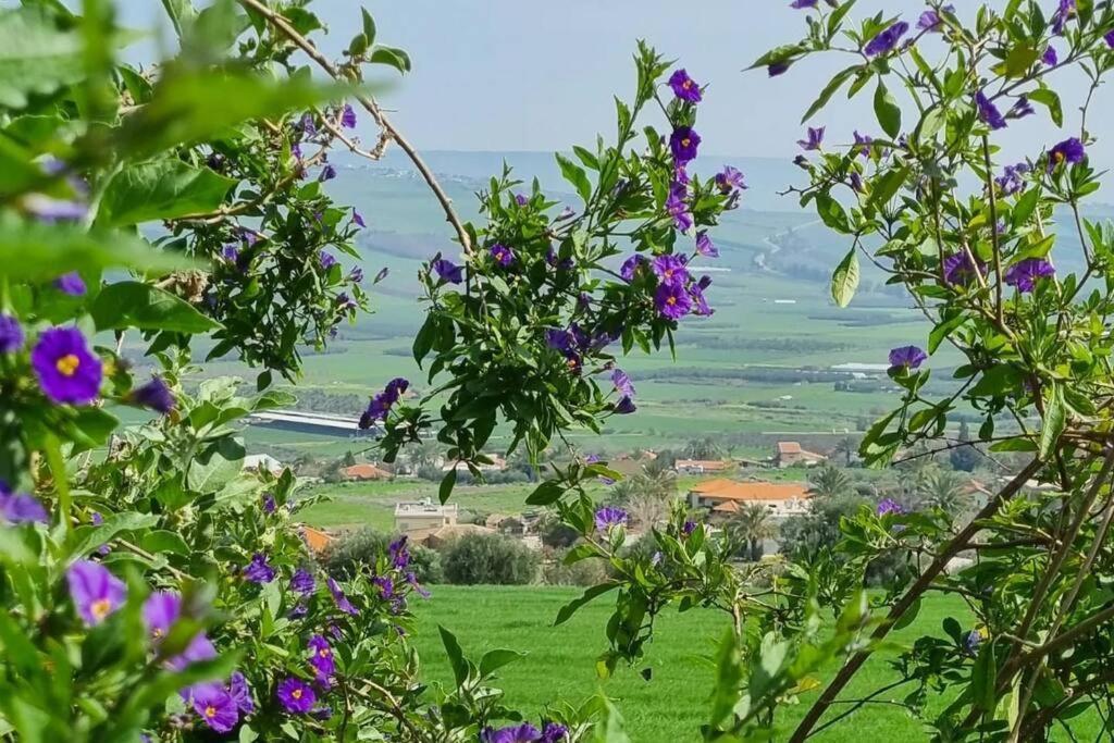 Suite Kolibri In Galilee Semadar Exterior photo